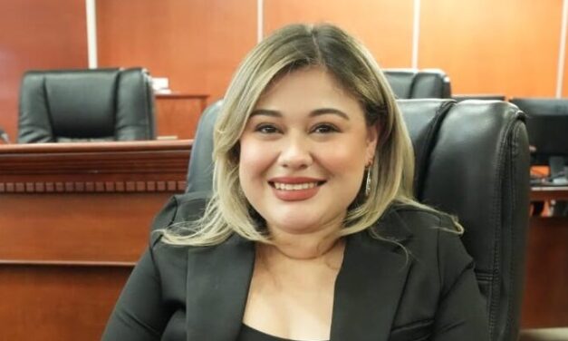INICIATIVA DE LA DIPUTADA MICHELLE TEJEDA BUSCA FOMENTAR LA DENUNCIA Y PREVENIR LA VIOLENCIA FAMILAR