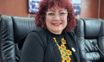 PIDE LA DIPUTADA MAYTHÉ MÉNDEZ QUE TODA INICIATIVA SEA VISIBLE Y ACCESIBLE EN LA PÁGINA DEL CONGRESO