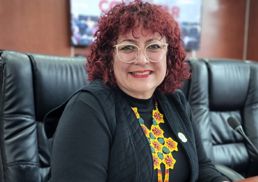 PIDE LA DIPUTADA MAYTHÉ MÉNDEZ QUE TODA INICIATIVA SEA VISIBLE Y ACCESIBLE EN LA PÁGINA DEL CONGRESO