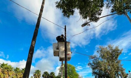 Mejora gobierno de Claudia Agatón iluminación en parques públicos