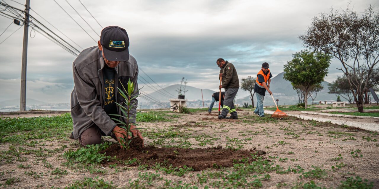 Beneficia Gobierno Municipal a más de 4 mil 500 personas con las acciones de ‘Tijuana: Ciudad Limpia’