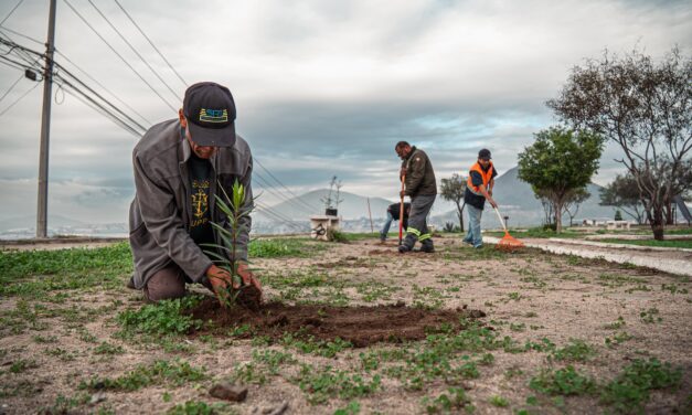 Beneficia Gobierno Municipal a más de 4 mil 500 personas con las acciones de ‘Tijuana: Ciudad Limpia’