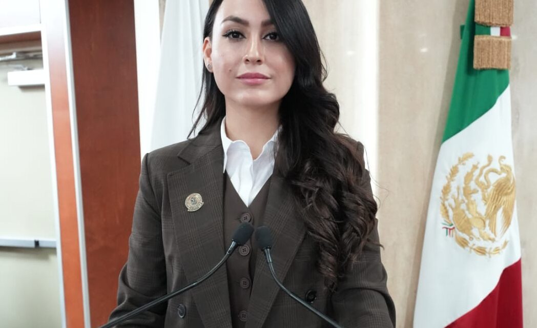 DIPUTADA YOHANA GILVAJA EXIGE AL DIF ATENDER A NIÑAS Y NIÑOS EXPLOTADOS EN CRUCEROS DE TIJUANA