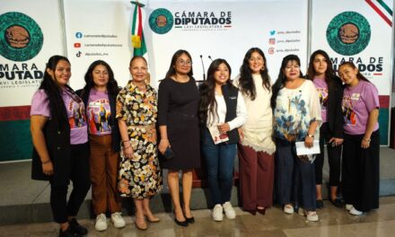 PARTICIPA DIPUTADA MICHEL SÁNCHEZ EN AGENDA LEGISLATIVA FEDERAL SOBRE JUSTICIA CON PERSPECTIVA DE GÉNERO