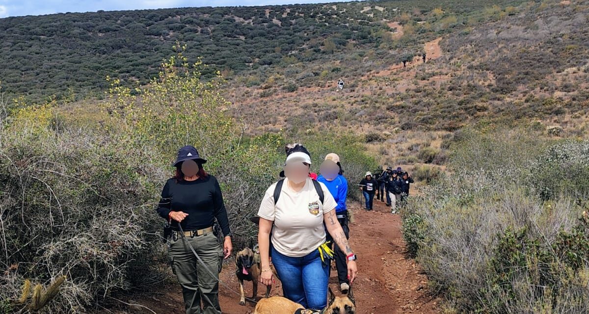 LOCALIZAN RESTOS ÓSEOS Y CUERPO SIN VIDA DURANTE OPERATIVO DE BÚSQUEDA EN ENSENADA