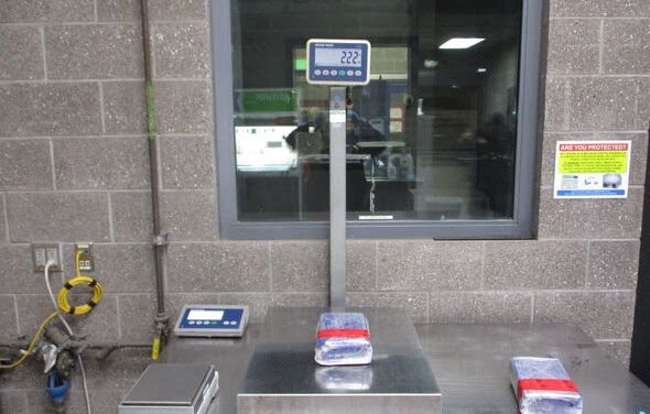 Agentes de CBP frenan intentos de tráfico de cocaína y de personas en Garita de Otay