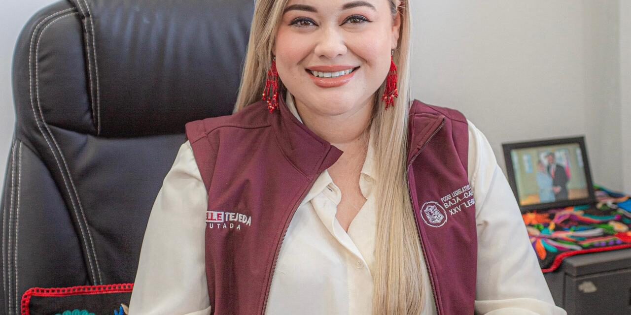 INICIATIVA DE DIPUTADA MICHELLE TEJEDA OBLIGA A PARTIDOS A CAPACITAR EN DERECHOS DE SECTORES VULNERABLES