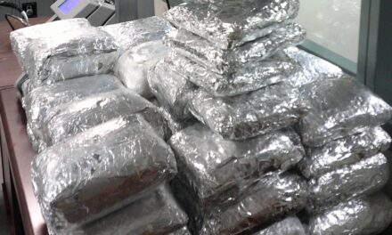 Agentes de CBP decomisan fentanilo, cocaína y metanfetamina en operativos en garita de Tijuana