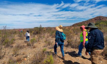 REALIZAN OPERATIVO CONJUNTO DE BÚSQUEDA GENERALIZADA EN SAN QUINTÍN