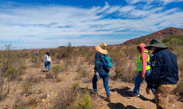 REALIZAN OPERATIVO CONJUNTO DE BÚSQUEDA GENERALIZADA EN SAN QUINTÍN
