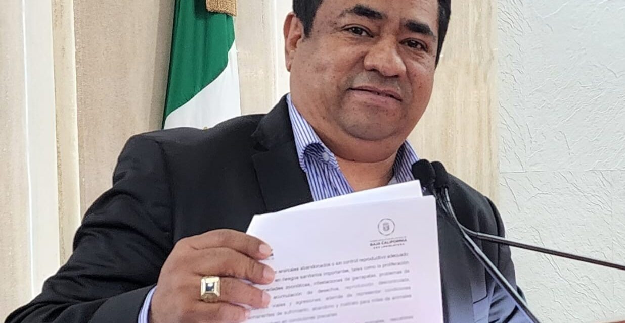 PROPONE DIPUTADO FIDEL MOGOLLÓN EVALUACIONES PSICOLÓGICAS OBLIGATORIAS EN JUICIOS DE CUSTODIA