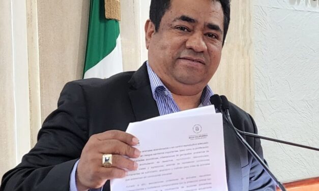PROPONE DIPUTADO FIDEL MOGOLLÓN EVALUACIONES PSICOLÓGICAS OBLIGATORIAS EN JUICIOS DE CUSTODIA