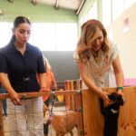 SUMA BAJA CALIFORNIA UN NUEVO HOGAR DE BIENESTAR PARA PERROS Y GATOS EN TECATE