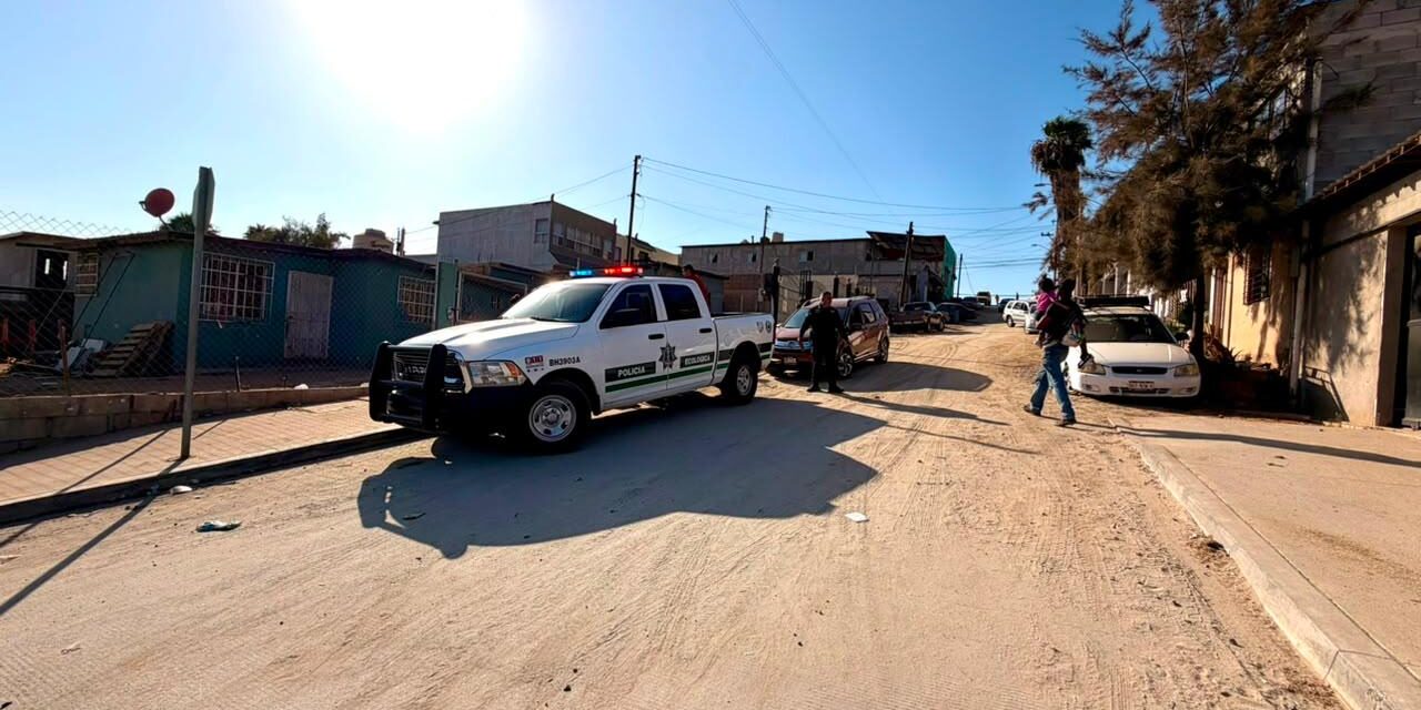 Atienden Policía Ecológica y CACYFE reporte ciudadano; resguardan perros para proteger a vecinos y animales