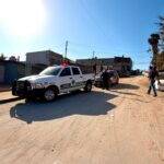 Atienden Policía Ecológica y CACYFE reporte ciudadano; resguardan perros para proteger a vecinos y animales
