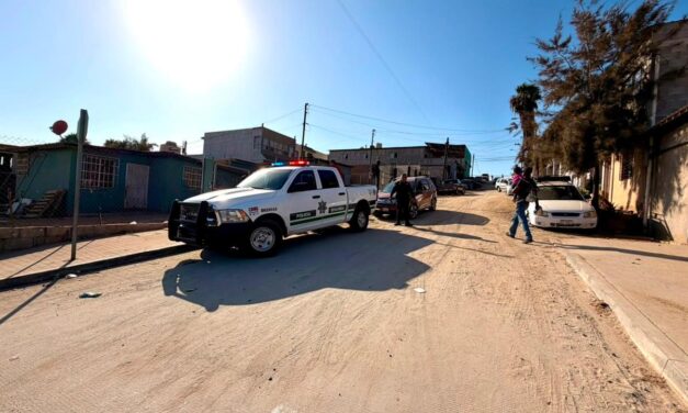 Atienden Policía Ecológica y CACYFE reporte ciudadano; resguardan perros para proteger a vecinos y animales