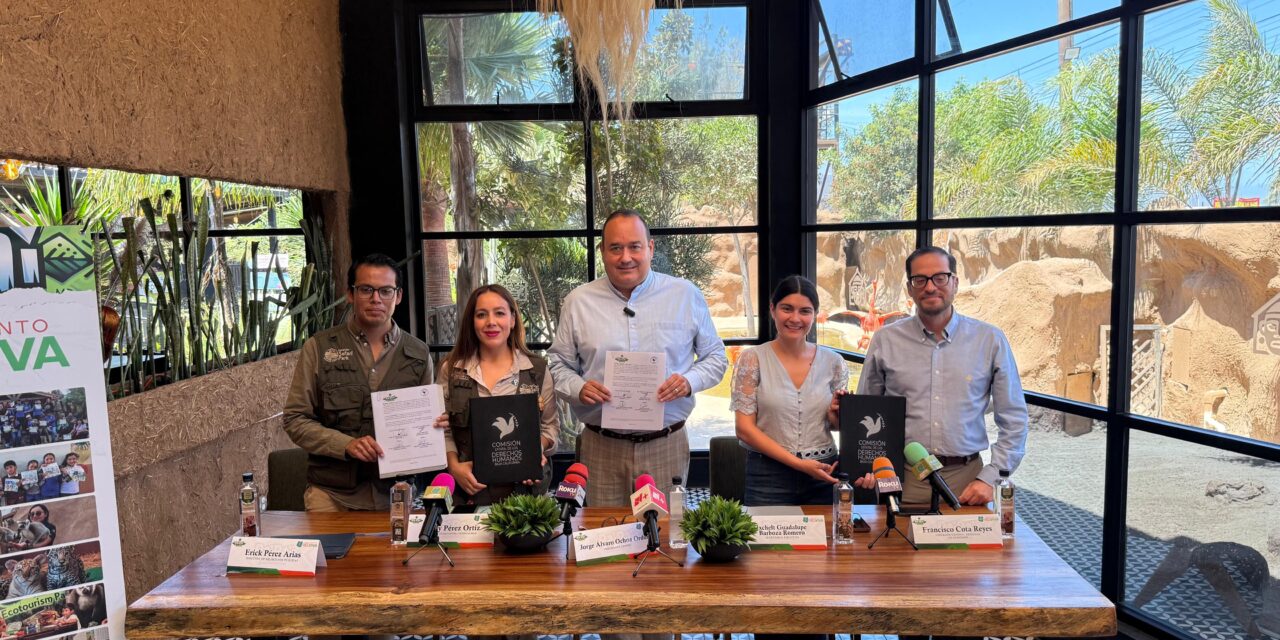 PaiPai y Derechos Humanos formalizan alianza para impulsar inclusión y educación ambiental en Baja California