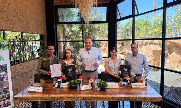 PaiPai y Derechos Humanos formalizan alianza para impulsar inclusión y educación ambiental en Baja California