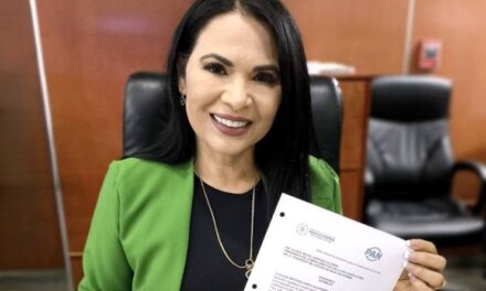 ENVÍAN A CÁMARA DE DIPUTADOS INICIATIVA SOBRE TARIFAS ELÉCTRICAS ESPECIALES PARA ZONAS DE CALOR EXTREMO