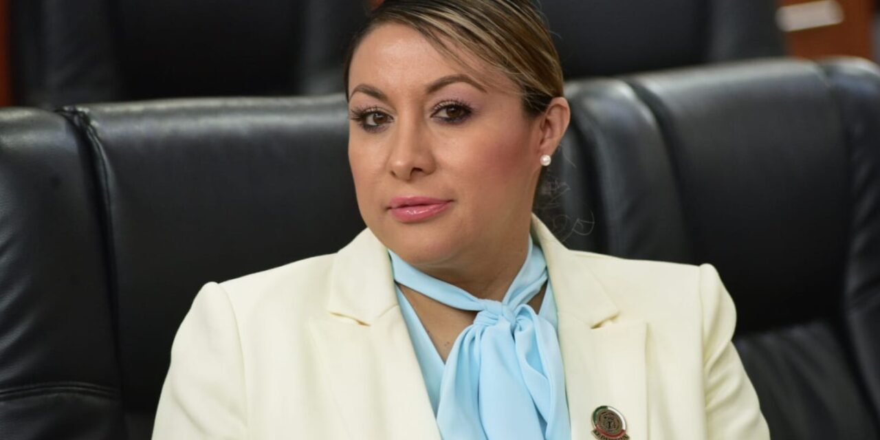LA INFANCIA NO SE RECLUTA, NO SE UTILIZA Y NO SE ABANDONA, SE PROTEGE: DIPUTADA ANGÉLICA PEÑALOZA