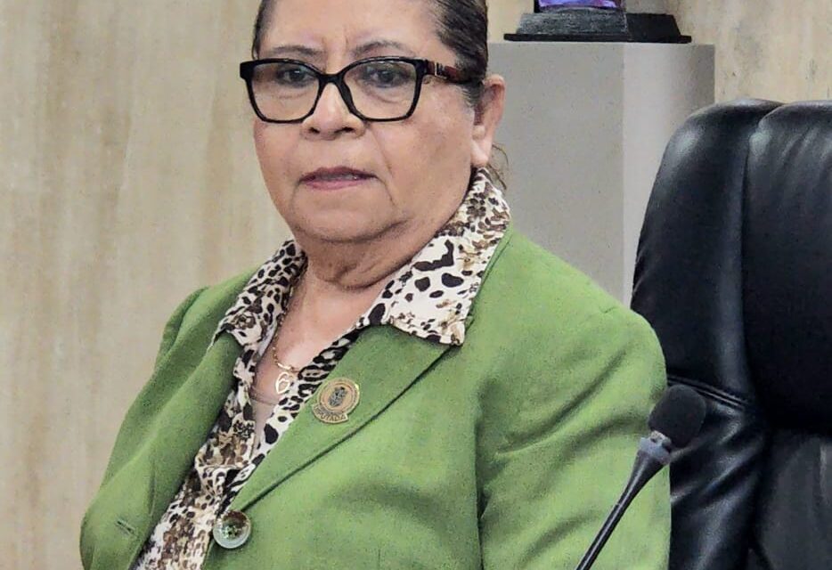 EMITE DIPUTADA GLORIA MIRAMONTES POSICIONAMIENTO RELATIVO AL RUBRO DE SALUD EN EL PAQUETE ECONÓMICO 2027