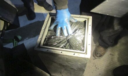Agentes de CBP incautan más de 262 libras de cocaína en el Puerto de Entrada de San Ysidro