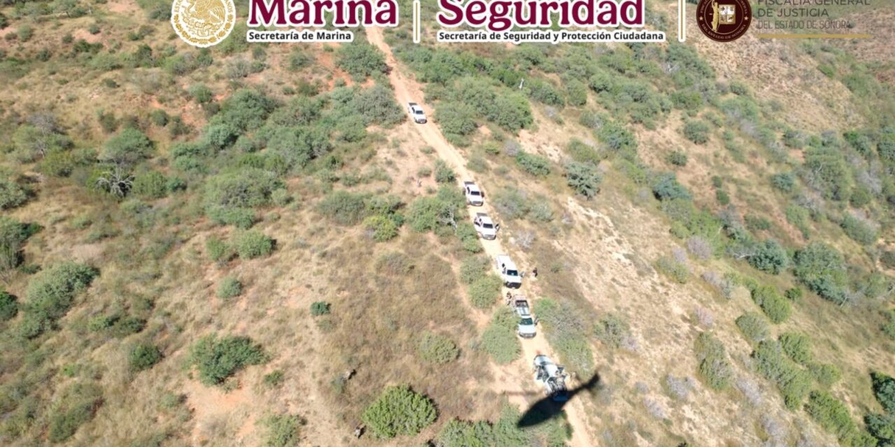 OPERATIVO DE LA MARINA EN SONORA LOGRA LA DETENCIÓN DE 4 Y LA NEUTRALIZACIÓN DEL CAPO «EL MENY CARRANZA»